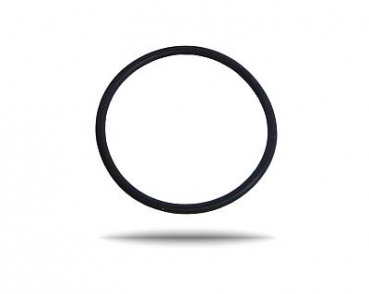 O-Ring für Halterung (Überlaufbehälter)